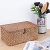 FEILANDUO Wicker Shelf Baskets with Lids Seagrass Storage Basket Container
