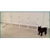 Weave Poles 6 w/Base for Small Dog - Agility Equipment