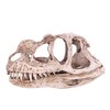 Fdit Retro Dinosaur Resin Skull Head Model Replica Skeleton Figurine