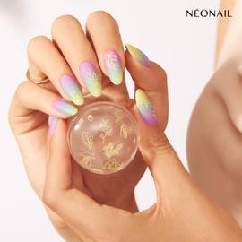 NEONAIL Stamping Plate 24 - Stamping Plate - Stencils Plate - Nail Art - Nail Design - Nail Stamp Stencil - French Nails Stencil - Nail Art Stamp