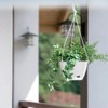 Prosper Plast DRLW215-S433 21.7 x 14.2 cm Ratolla Round Flowerpot