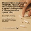 Momentous Nightly Sleep Pack - Magnesium L-Threonate, L-Theanine, and Apigenin