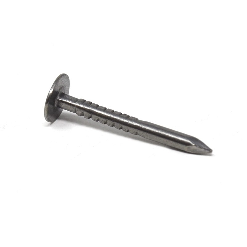 Design61 Belt Pins 2.2 x 22 mm Nail Nails Large