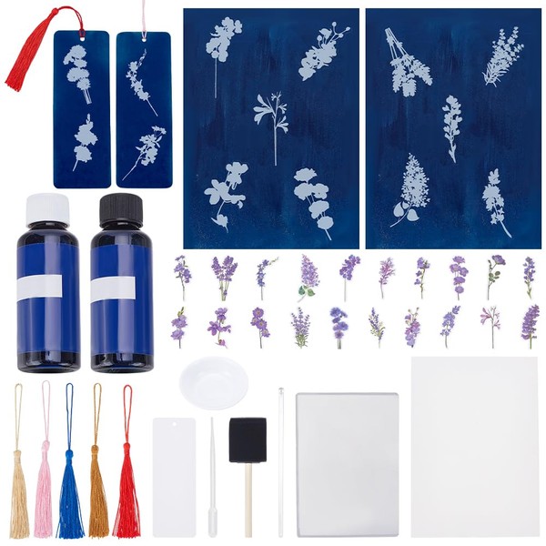 WEBEEDY Cyanotype Kit Flowers Cyanotype Sun Art Papers Set High