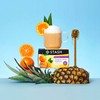 Stash Tea Tangerine Honey Daydream White Tea, Kosher, Gluten Free