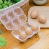HYBEW Eggs Holder 6 Eggs Storage Container With Fixed Handle