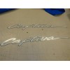 RINKER CAPTIVA PAIR (2) DECAL GRAY / WHITE 29" X