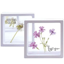 Global Easy Transparent Frame Herbarium/Pressed Flowers/Insects (Large) (Capacity for 10) Transparent Frame Transparent Pressed Flower Frame Transparent Pressed Flower Frame / 글로벌이지 투명 액자 하바리움압화곤충 (대) (10인용) 투명액자 투명압화액자 압화투명액자