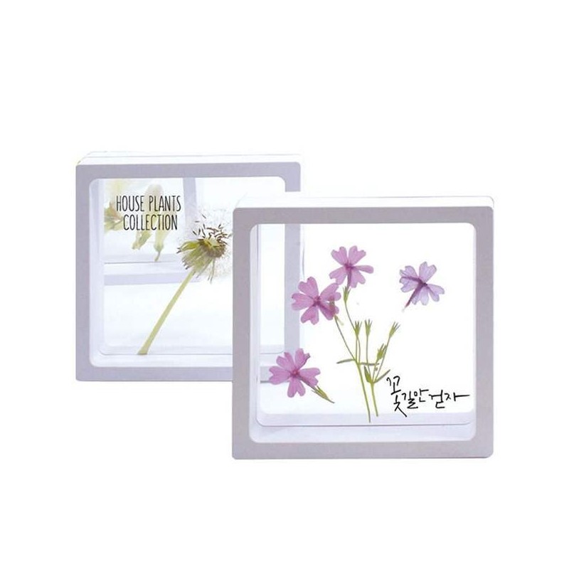 Global Easy Transparent Frame Herbarium/Pressed Flowers/Insects (Large) (Capacity for 10)