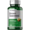 Brown Seaweed Capsules 2000mg | 200 Count | Fucoxanthin Supplement