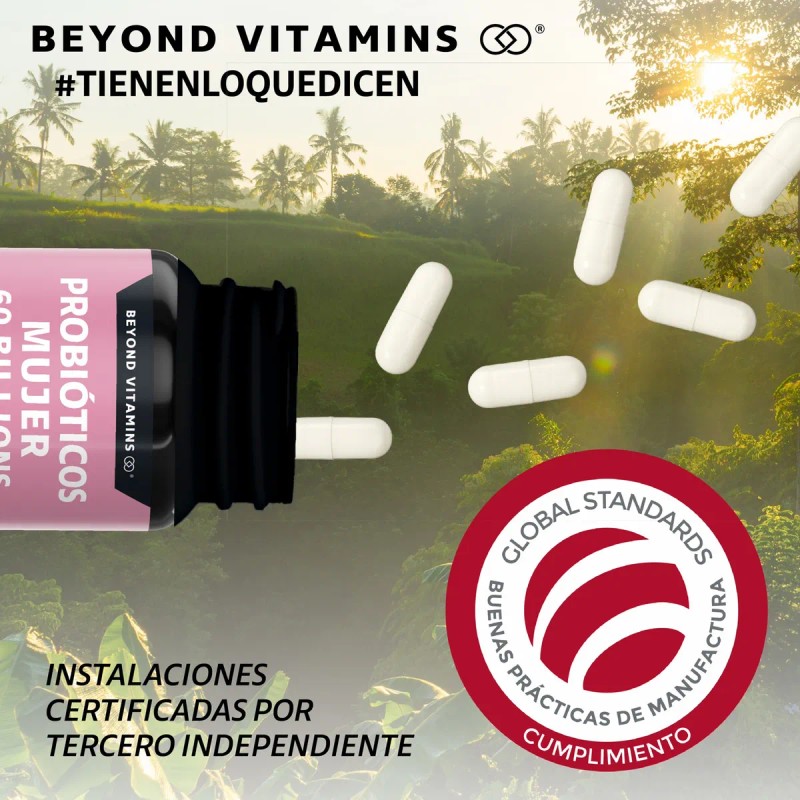 Vitamina C Con Jengibre De 120 Cápsulas. C Blend B
