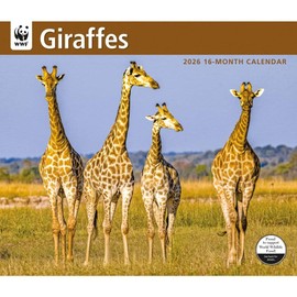 Carousel Calendars, Giraffes WWF 2026 Wall Calendar, 12.01'' X 14.09'', 16-Month Calendar with Stapled Binding