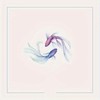 Aesthetic Koi Fish Tattoo - Watercolor Temporary Tattoo for Women