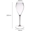 AIOS Unbreakable Tritan BPA Free Prosecco Flute/Champagne Flute 165ml (Set