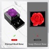 Lian Preserved Real Red Rose Enchanted Real Rose Flower for