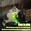 Catnip Cat Toys - Creative Sound Toy for Cats,Electronic Sound
