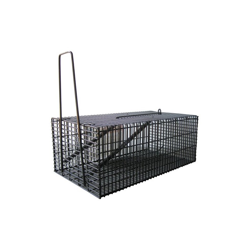 compal black square house