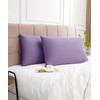 Warmstar Purple Cotton Pillow Cases 2 Pack, 600 Thread Count