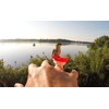 Holiday Special - 2-Pack - ZUMMR Hummingbird Ring Feeder -