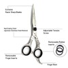 New Professional Salon Hair Cutting + Thinning Scissors Barber Razor