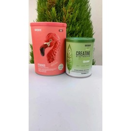 Birdman Proteína Fitmingo 510g + Creatina Con Electrolitos