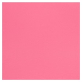 PA Paper Accents Stash Builder Cardstock 12" x 12" Hot Rose, 65lb Colored cardstock Paper for Card Making, Scrapbooking, Printing, Quilling and Crafts, 25 Piece Pack