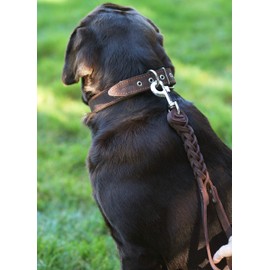 Dogs My Love Brown Leather Braided Dog Short Traffic Leash 12" Long 4-Thong Square Braid for Large Breeds