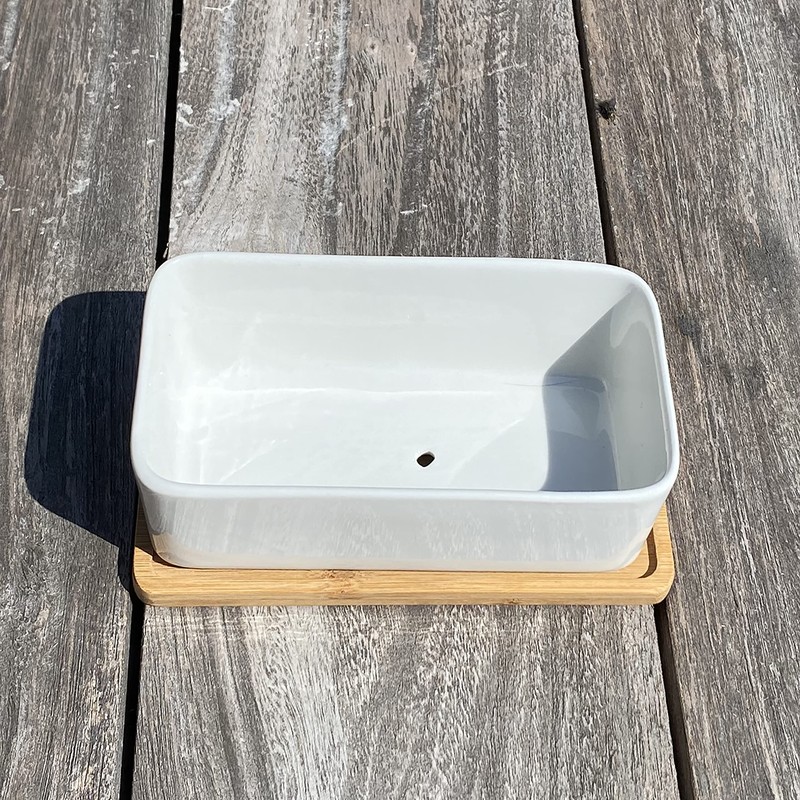 Selections White Succulent Trough Pot, Outdoor, Small
