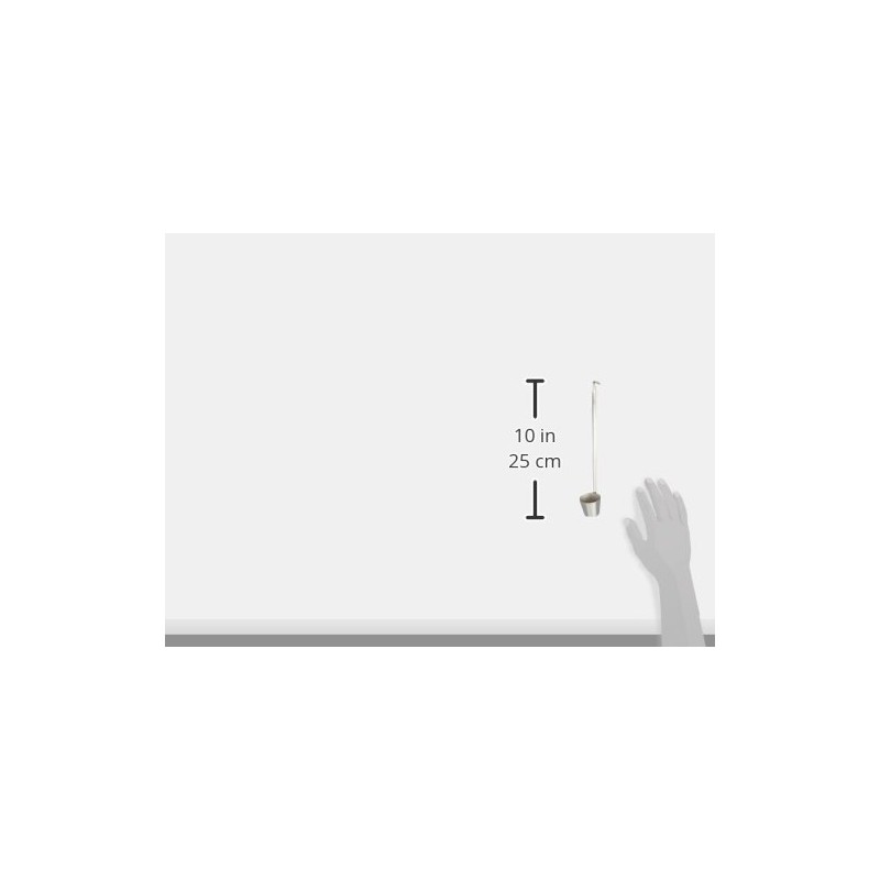 Endoshoji BKV0730 Ladle, Silver, 1.0 fl oz (30 cc), Commercial