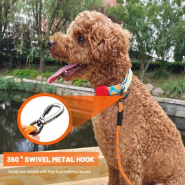 Recall Lead for Dogs, Waterproof Recall Lead, 5 m, Suitable for Small, Medium, Large Dogs, Dog Education, Robust Dog Lead with Soft Padded Handle, Orange (5 m)