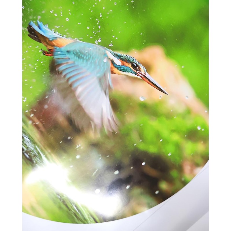 Inkjet & Laser Photo Paper A4 Matte Splashproof 50 Sheets