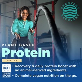 Gnarly Nutrition Gnarly Nutrition Vegan Plant Protein C Vanilla Vegan Protein Powder, NSF Sport Certified C Meal Replacement, Daily Nutritiional Boost C Lactose Free Powder C Vanilla, 28.2 oz