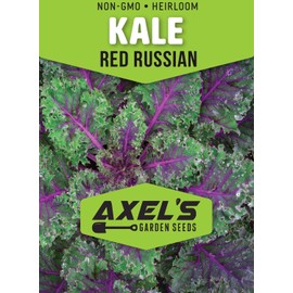 Red Russian Kale Seeds for Planting – Plant & Grow Heirloom Non GMO Red Russian Kale in Home Outdoor Vegetable Garden, Brassica Napus VAR. pabularia – 1 Packet Approx 200 Seeds