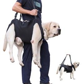 Dog Lift Harness for Dogs, Dog Sling Carrier with Handle for Hind Leg Support, Arthritis, Joint Injuries, Rehabilitation, and Assistance with Stairs, Cars (XL (Refer Size Chart))