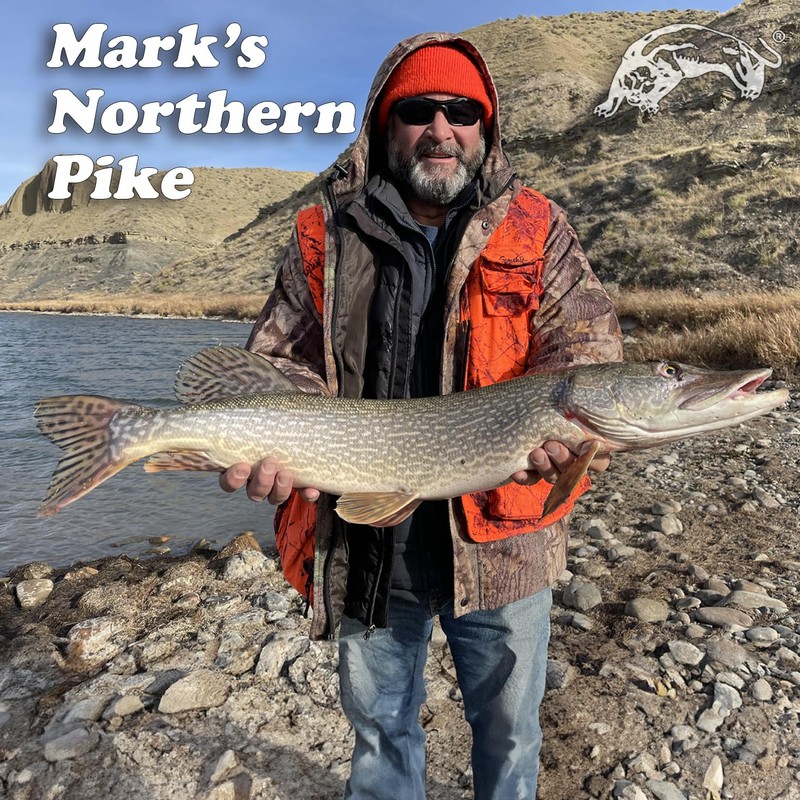 Panther Martin 6PMRRH-G