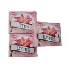 HEM Incense Cones Lotus Cones Set of 3