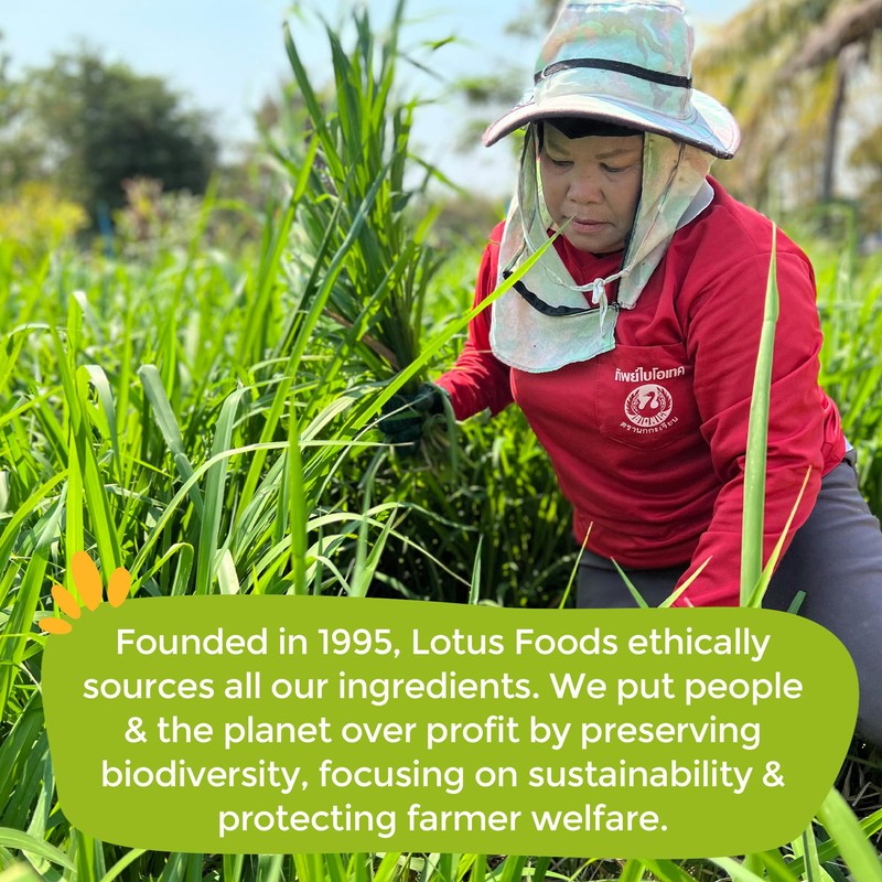 Lotus Foods Traditional Pad Thai Rice Noodles - Pad Thai