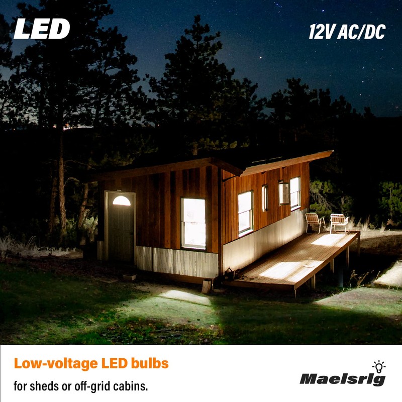 LED 12V Light Bulb, 100W Equivalent, Daylight White 5000K, 13W