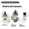 Absolut Repair Molecular Shampoo 300ml