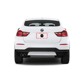 DMSE Tropical Hibiscus Flower Aloha Mahalo Hawiian Hawaii Plastic License Plate Frame Cover Holder Cool Decorative Design for Any Vehicle Car or Truck (Pink)