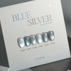 From the Nail Magnetic Gel Blue Silver 6 types of individual items, 1 piece, FG.279 / 프롬더네일 자석젤 블루실버 6종 단품, 1개, FG.279