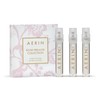 AERIN Rose Premier Collection A Trio of Roses - Rose