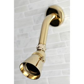 Kingston Brass K133A2 Designer Trimscape Showerscape 2-1/4-Inch Shower Head, Polished Brass