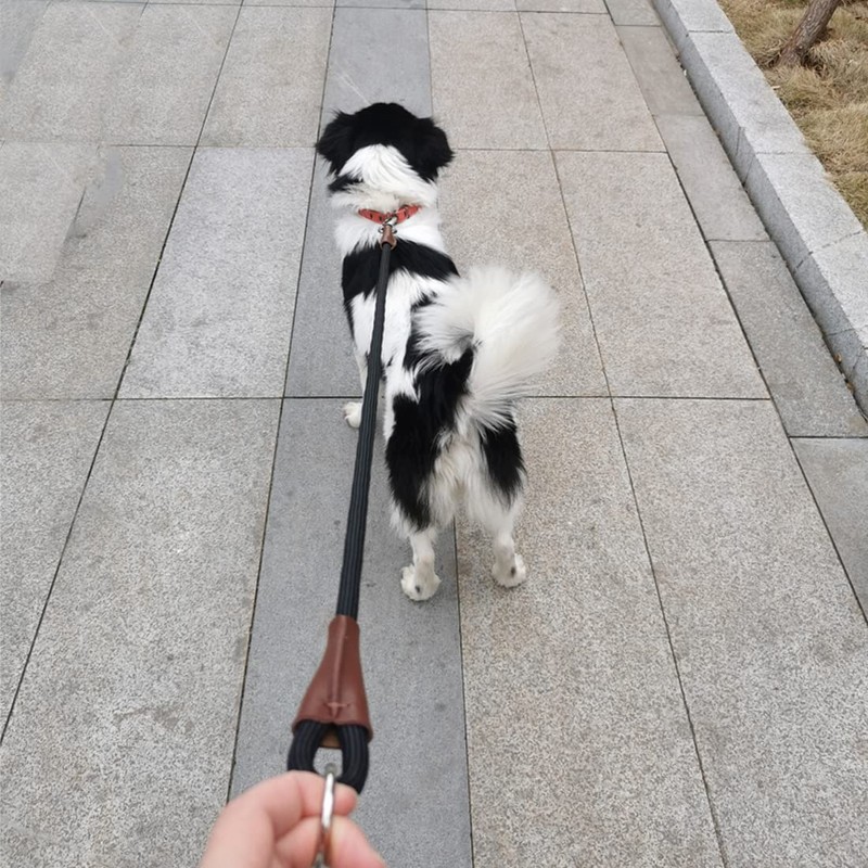 Mycicy No Handle Dog Leash 3 FT / 6 FT,