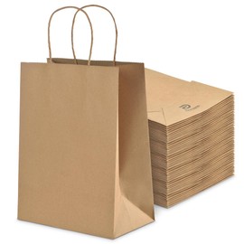 PACKTASTIC 125GSM Medium 8x4.25x10.5 Brown Paper Gift Bags with Twisted Handles | 100 Pcs Bulk Kraft Shopping Bag for Retail Party Favour Bags for Kids Party