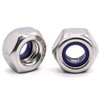 Glvaner M3-0.5 Thread Size (100 pcs) Stainless Steel Hex Locknuts