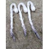 Ghost Pipe Tincture 4oz Harvested In Pennsylvania FREE Shipping