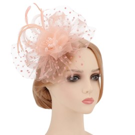 DRESHOW Fascinators Hat Flower Mesh Ribbons Feathers on a Headband and a Clip Tea Party Headwear for Girls and Women