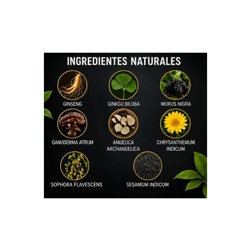 Shampoo Tinte Negro Instantáneo Cubre Canas Jengibre 530ml