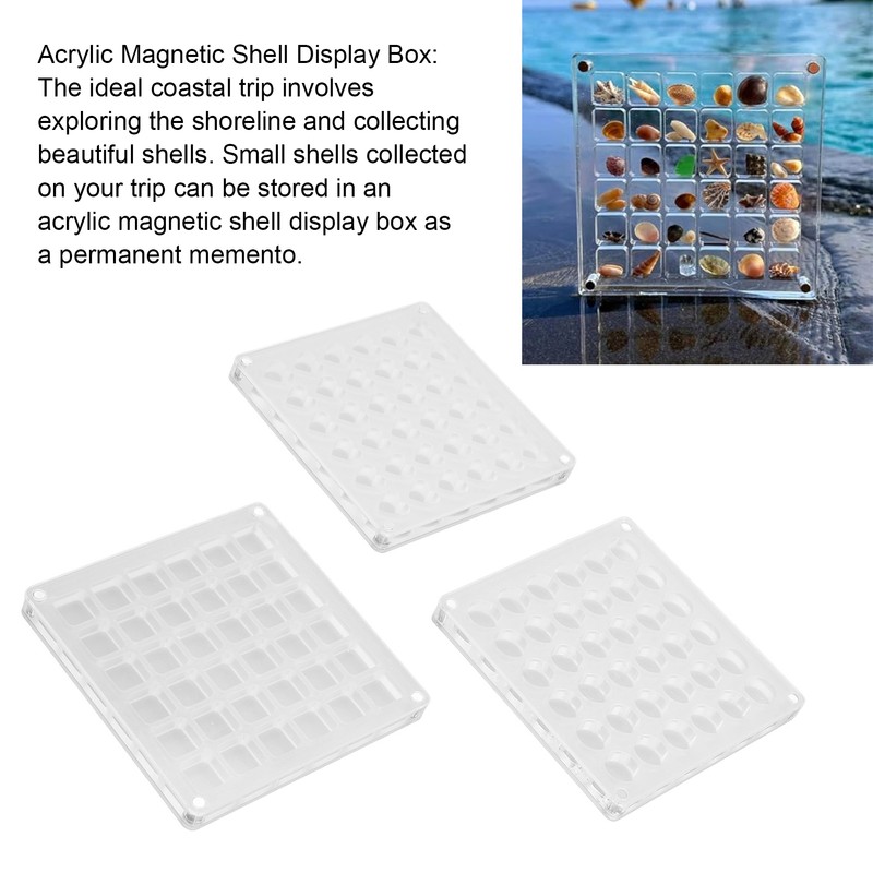 3pcs 36 Grids Acrylic Magnetic Shell Display Case Decorative Shell